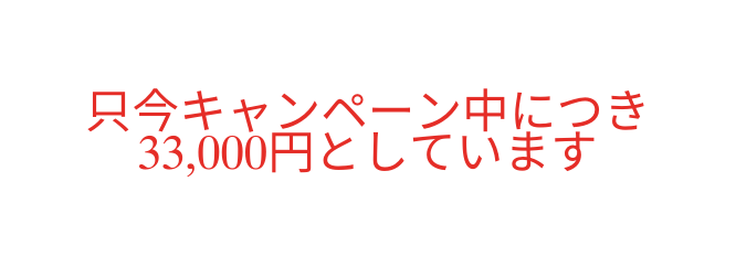 只今キャンペーン中につき 33 000円としています